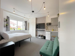 Cosy Bright Studio Apartment Close to Wembley Stadium